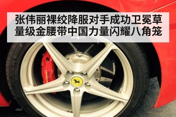 张伟丽裸绞降服对手成功卫冕草量级金腰带中国力量闪耀八角笼