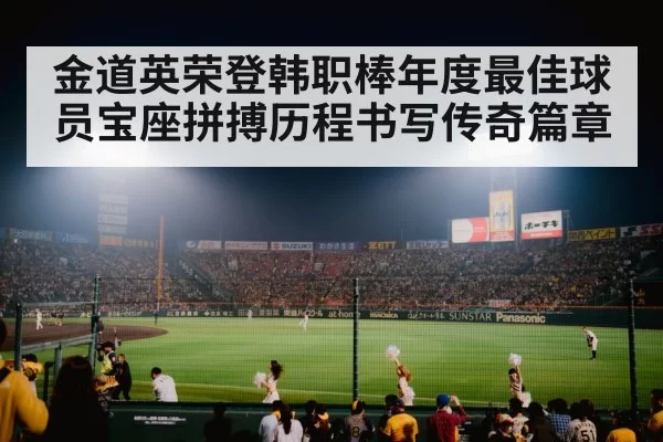 baseball stadium night game