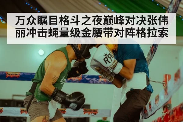 万众瞩目格斗之夜巅峰对决张伟丽冲击蝇量级金腰带对阵格拉索